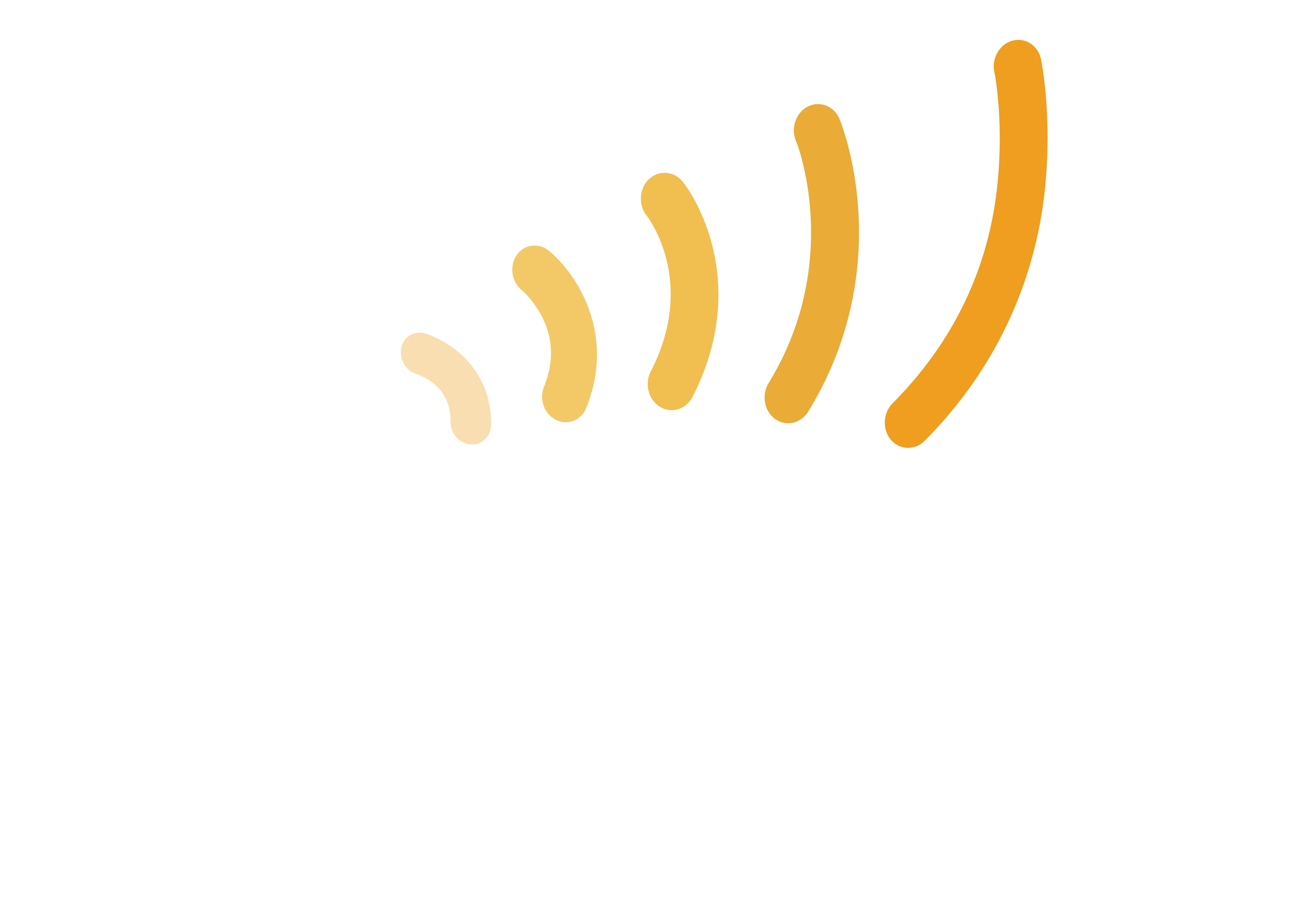 MonLoff Limited