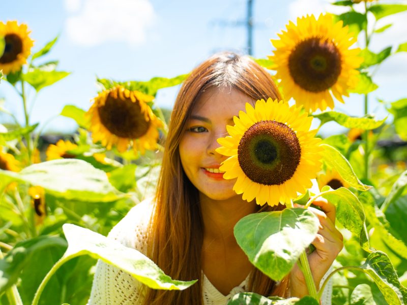 信芯園4